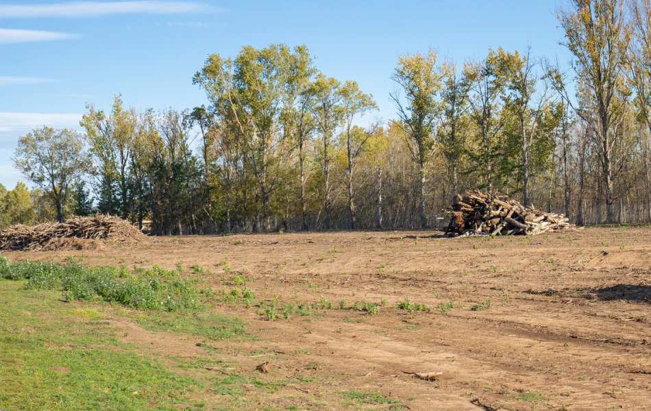 Land Clearing Services (1)