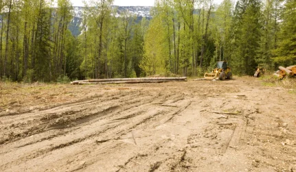 Land Clearing Services